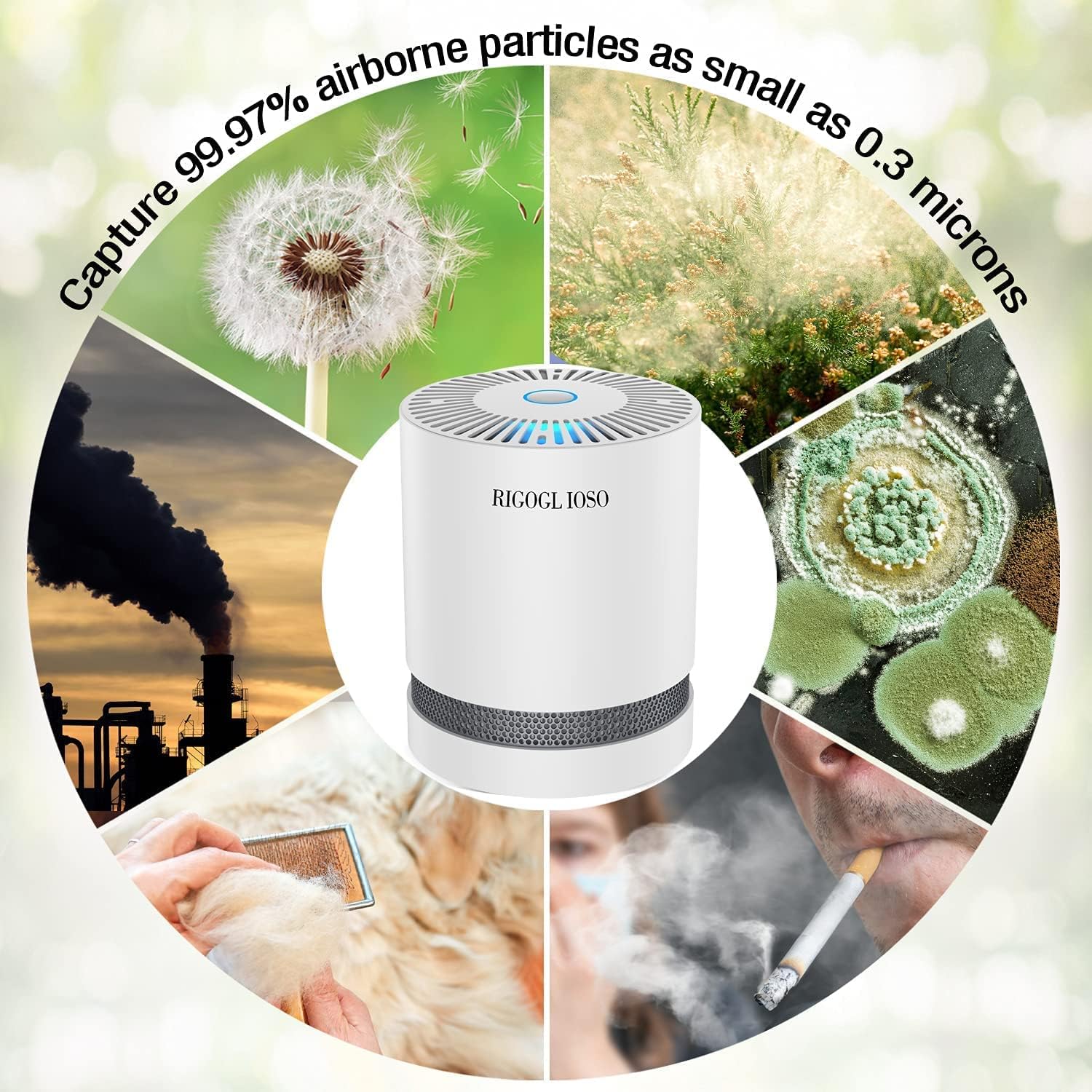 HEPA Luftreiniger Schimmel für 99,97% Rauch Geruch Pollen Staub Tierhaare, Luftfilter Wohnung Raucher Air Purifier HEPA Filter für Wohnung Schlafzimmer Küche, Kein Ozon Luftreiniger mit Nachtlicht