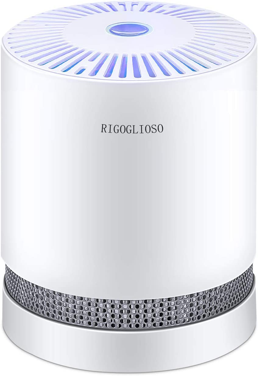 HEPA Luftreiniger Schimmel für 99,97% Rauch